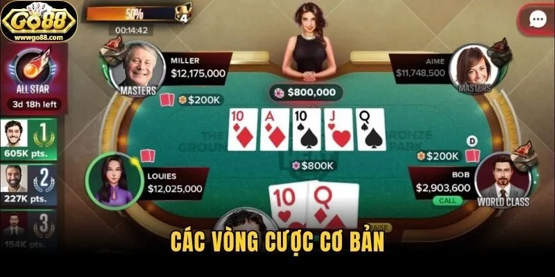 Các vòng cược cơ bản