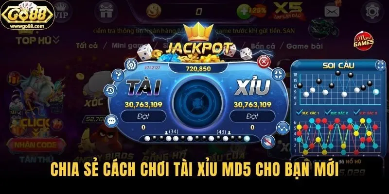 Chia sẻ cách chơi tài xỉu md5 cho bạn mới