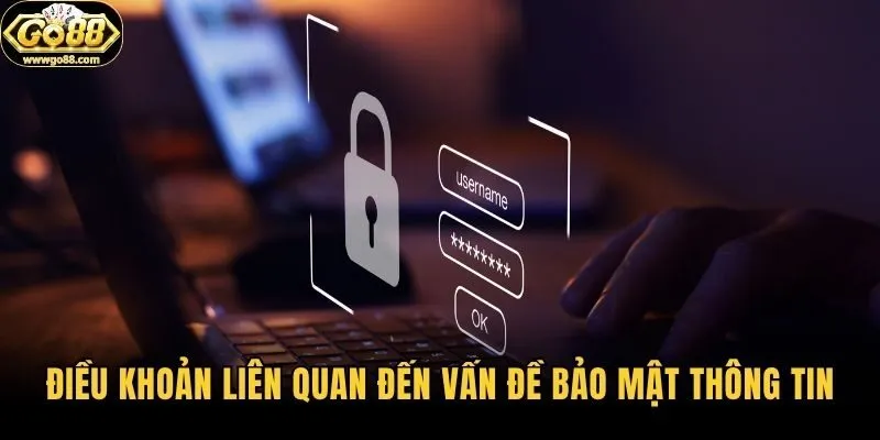 Điều khoản liên quan đến vấn đề bảo mật thông tin