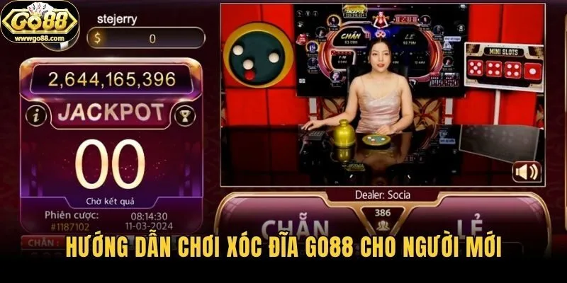 Hướng dẫn chơi xóc đĩa Go88 cho người mới