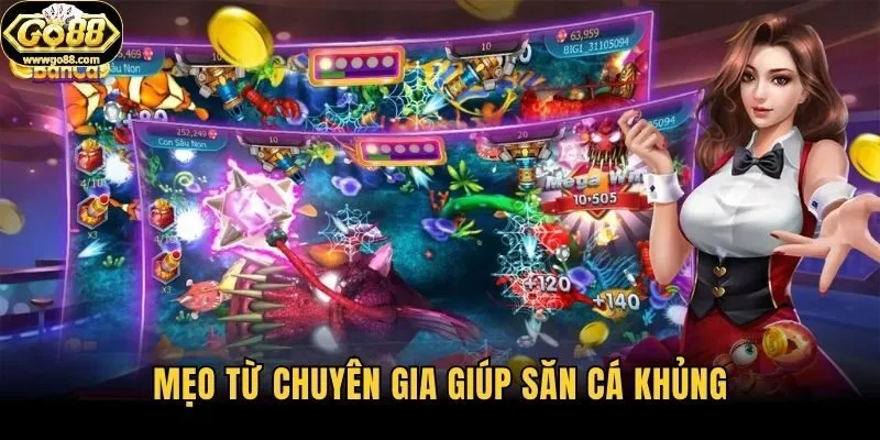 Mẹo từ chuyên gia giúp săn cá khủng